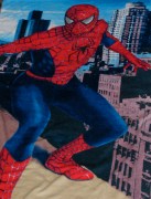 SANYO DIGITAL CAMERA