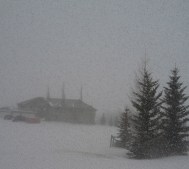 IMG_2175 - Version 2