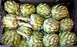 dreamstime_xs_23442246