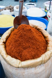 photo credit: Dreamstime