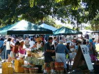 farmers market