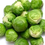 photo credit: http://www.onthegreenfarms.com/fruit-vegetable/how-to-grow-organic-brussels-sprouts/