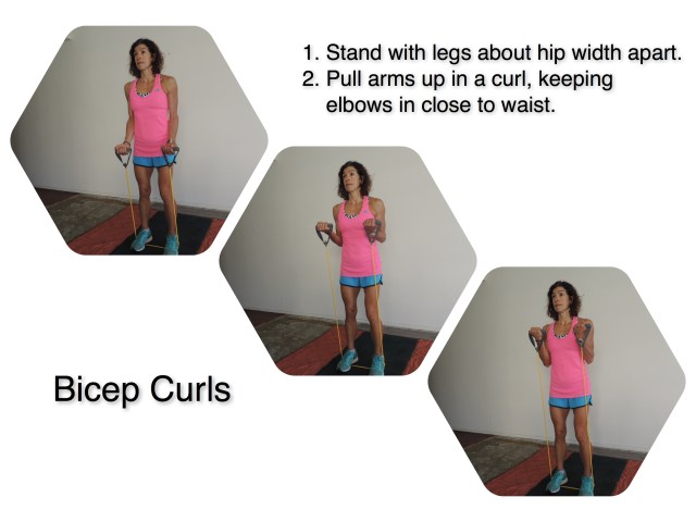 Bicep Curls